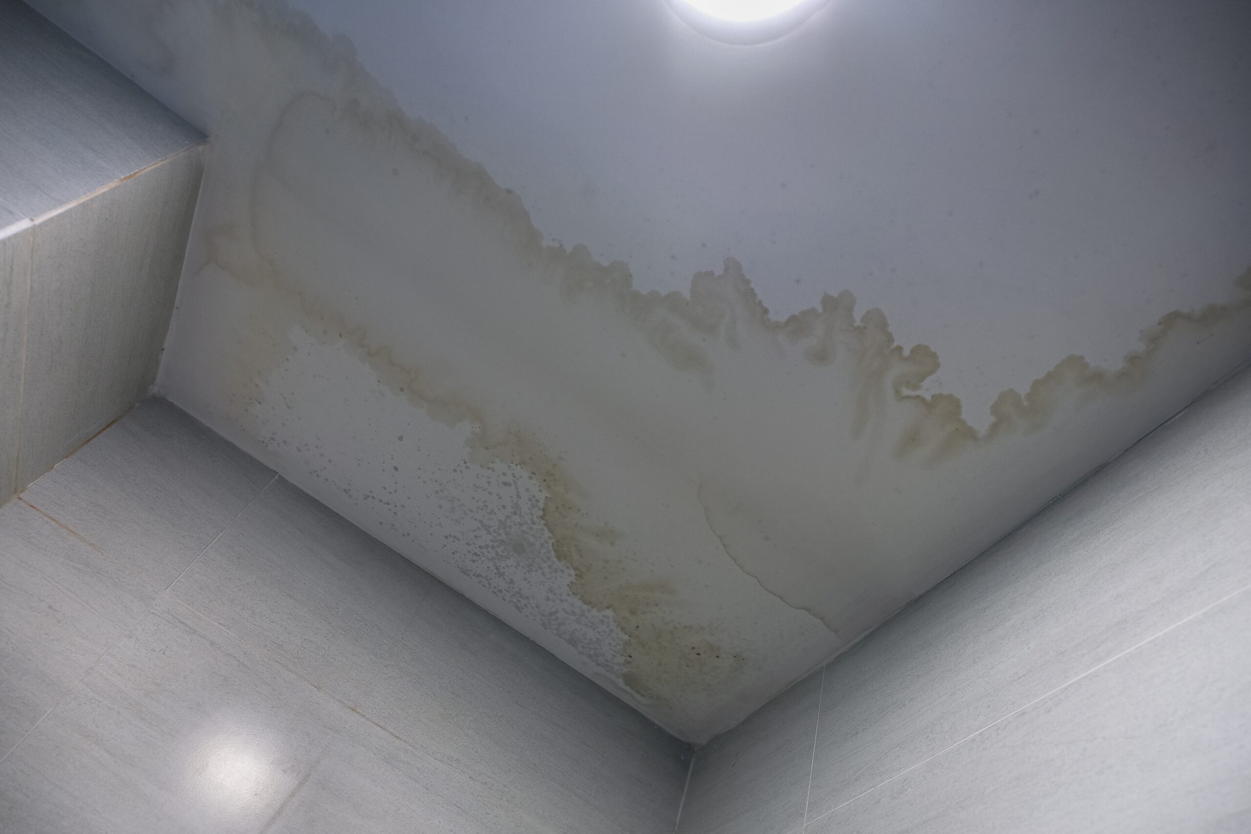 Water stains on your ceiling can indicate a leak in your roof. Call AGM Roofing for roof repair in Ocala Fl