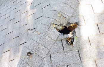 Damaged and leaking roof in need of repair. Roof repair in Ocala, FL